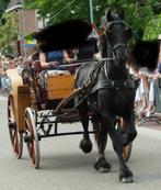 Jachtwagen koets Duitse wagen, Gebruikt, Overige typen, Paard