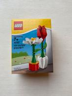 Lego 40187 nieuw, Kinderen en Baby's, Speelgoed | Duplo en Lego, Ophalen of Verzenden, Zo goed als nieuw