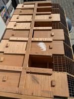 Transport kooi vogels, Ophalen, Zo goed als nieuw, Hout, Vogelkooi