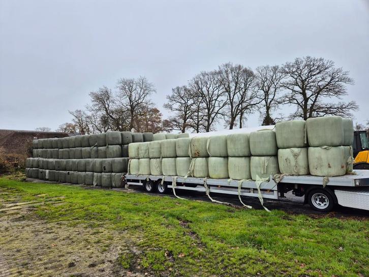 Grote hoeveelheid voordroog hooi balen te koop, Zakelijke goederen, Agrarisch | Veevoer, Ophalen