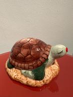 Grotere spaarpot schildpad, Ophalen of Verzenden