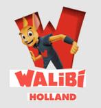 6 kaartjes te koop voor Walibi Holland, Twee personen, Ticket of Toegangskaart