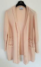 Cardigan / Vest STIZZOLI maat 46-48, Kleding | Dames, Ophalen of Verzenden, Zo goed als nieuw, Maat 46/48 (XL) of groter, Overige kleuren