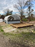 Groepshuisvesting kalveren, Dieren en Toebehoren, Meerdere dieren