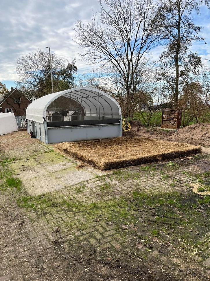 Groepshuisvesting kalveren, Dieren en Toebehoren, Runderen, Meerdere dieren