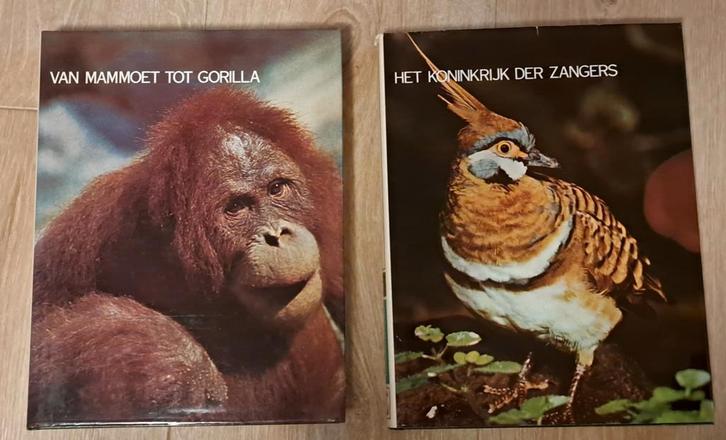 Geheimen der Dierenwereld - Lekturama, Boeken, Natuur, Gelezen, Natuur algemeen, Ophalen of Verzenden