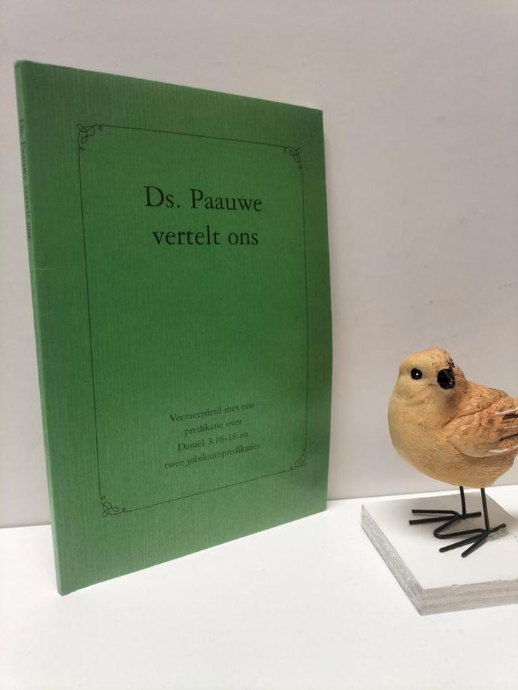 Paauwe, Ds. J.P.; Ds. Paauwe vertelt ons, Boeken, Godsdienst en Theologie, Gelezen, Christendom | Protestants, Ophalen of Verzenden