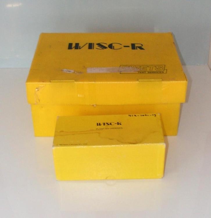 Intelligentietest WISC R, Boeken, Psychologie, Gelezen, Ontwikkelingspsychologie, Ophalen of Verzenden