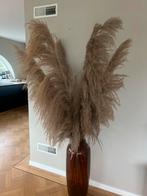 Beige Pampas Pluimen - Decoratie, Huis en Inrichting, Ophalen, Zo goed als nieuw