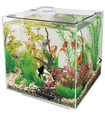Aquarium Superfish Qubiq 30 beschikbaar voor biedingen