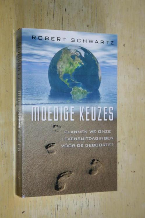 Robert Schwartz Moedige keuzes spirituele groei, Boeken, Psychologie, Gelezen, Ophalen of Verzenden