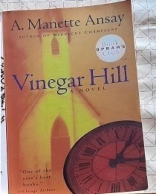 Manette Ansay A. : Vinegar Hill, Boeken, Taal | Engels, Ophalen of Verzenden