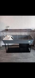 Mooie konijnenkooi, Kooi, 110 cm of meer, Cavia, Zo goed als nieuw
