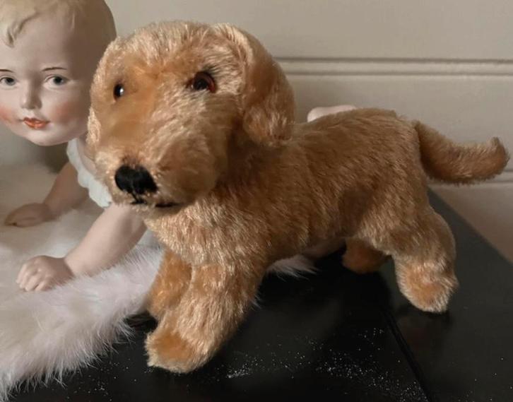 Oude Teddy Herman rood blonde teckel, Antiek en Kunst, Antiek | Speelgoed, Ophalen of Verzenden