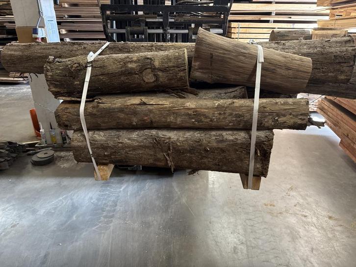 Teak stammen, Doe-het-zelf en Verbouw, Hout en Planken, Nieuw, Balk, Overige houtsoorten, 300 cm of meer, 50 mm of meer, Ophalen of Verzenden