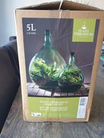 Nieuw in doos: Design afgesloten terrarium 5 L, Huis en Inrichting, Kamerplanten, Ophalen, Overige soorten, Minder dan 100 cm