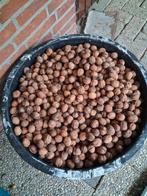 Walnoten, Tuin en Terras, Overige Tuin en Terras, Ophalen, Nieuw
