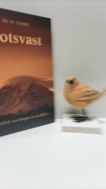 Visser, Ds. H.; Rotsvast   beschikbaar voor biedingen