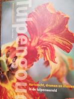 tulpengoud, hartstocht, dromen en illusies: ML Schipper, Ophalen of Verzenden, Zo goed als nieuw, Nederland