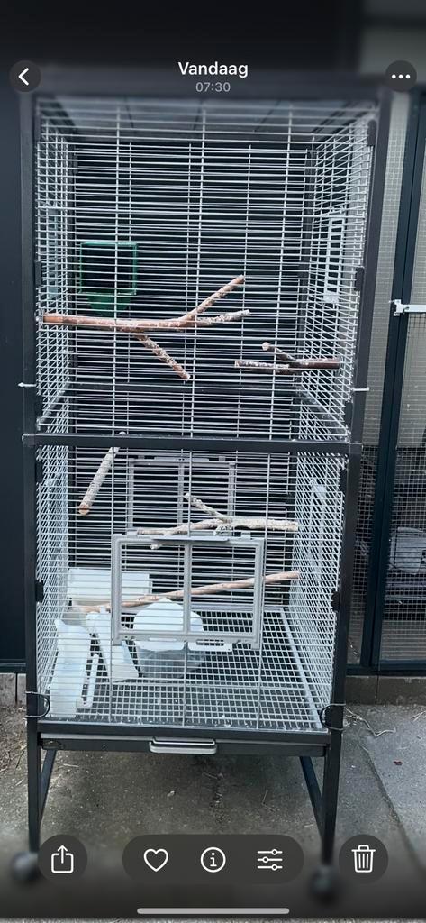 Prachtige ruime kooi! Montana paradiso, Dieren en Toebehoren, Vogels | Hokken en Kooien, Zo goed als nieuw, Vogelkooi, Metaal