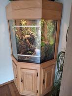 Mooi groot hoek terrarium, Dieren en Toebehoren, Ophalen, Zo goed als nieuw, Terrarium of Paludarium