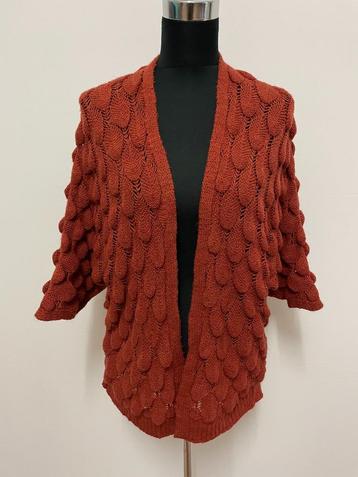 V41 - Bruin Pascara vest maat L (1) beschikbaar voor biedingen