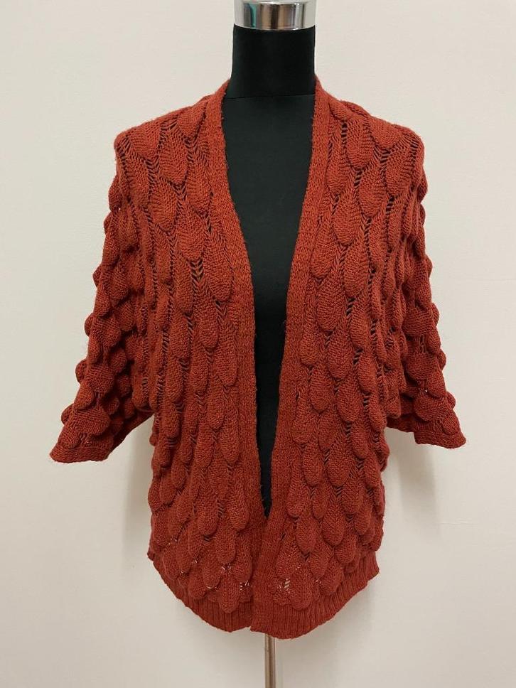 V41 - Bruin Pascara vest maat L (1), Kleding | Dames, Truien en Vesten, Zo goed als nieuw, Maat 38/40 (M), Bruin, Ophalen of Verzenden