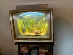 Retro TV Aquarium, Dieren en Toebehoren, Ophalen, Gevuld zoetwateraquarium