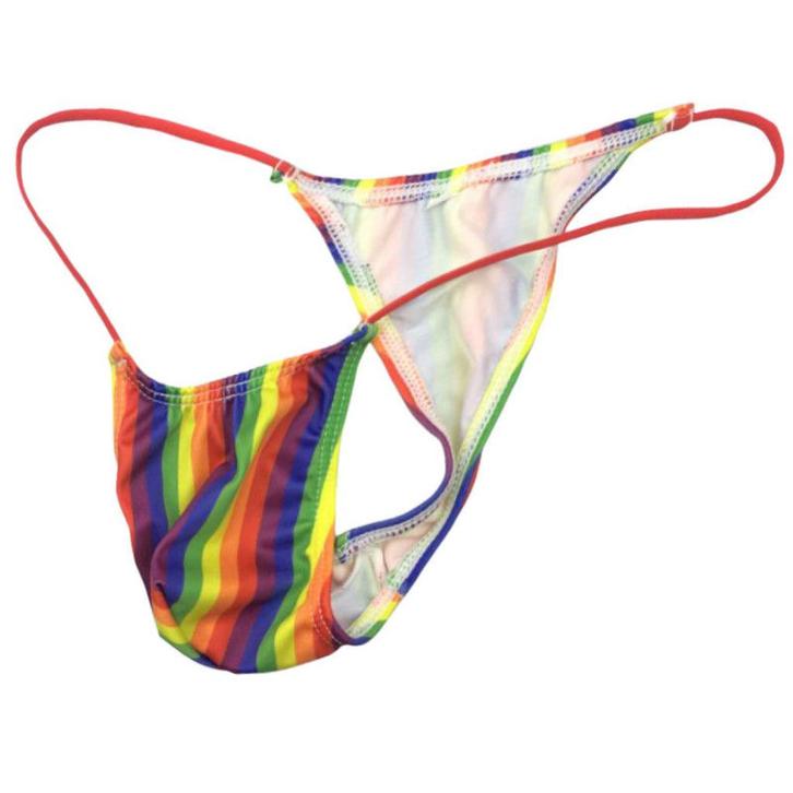 Heren regenboog string slip gay rainbow pride ondergoed, Kleding | Heren, Ondergoed, Slip, Verzenden