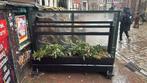 4 x Horeca terrasschermen met plantenbak op wielen, Ophalen, Gebruikt, Meubilair