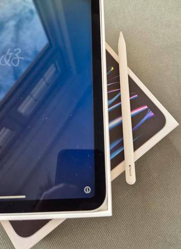 Apple pencil Gen2 + extra Apple tips erbij beschikbaar voor biedingen
