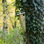 vogelhuisje nestkast boomkruiper, Tuin en Terras, Vogelhuisjes en Vogelbaden, Nieuw, Ophalen of Verzenden