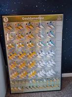 Gould Amadine poster groot 70 x 101 cm in lijst, Dieren en Toebehoren, Vogels | Toebehoren, Ophalen, Nieuw, Overige typen