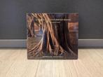 Devin Townsend Band: Synchestra (S.E.)[CD/DVD], Ophalen of Verzenden, Zo goed als nieuw