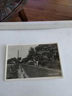 SCHOORL. LAANWEG, Ophalen of Verzenden, Voor 1920, Noord-Holland