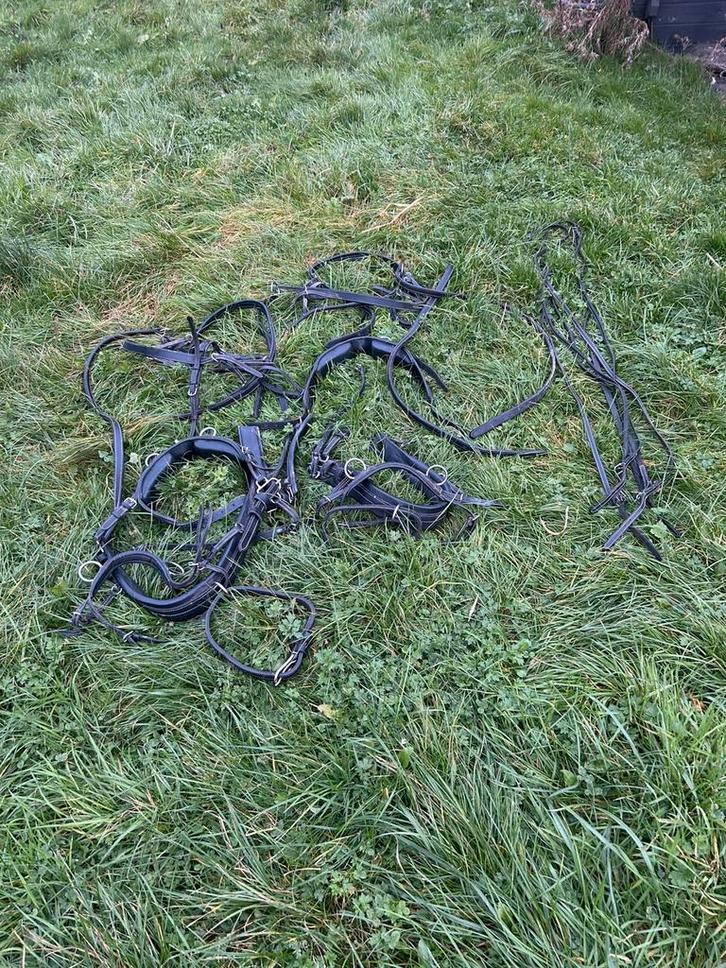 Mooi nieuw zwart 2 span mentuig maat mini, Dieren en Toebehoren, Paarden en Pony's | Hoofdstellen en Tuigage, Zo goed als nieuw