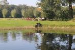 met je hond op Vakantie  in de mooie  achterhoek, Vakantie, Vakantiehuizen | Nederland, In bos, 2 slaapkamers, Huisdier toegestaan