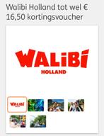 Walibi Holland kortingsvoucher, Kortingskaart