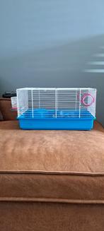 Hamster kooi, Kooi, Minder dan 75 cm, Minder dan 60 cm, Ophalen of Verzenden