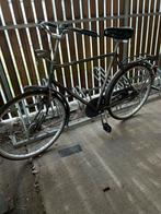 Gouden Leeuw 1970 - Klassieker!, 57 tot 61 cm, Ophalen, Gebruikt, Overige merken