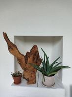 Handgemaakt Olijfhout uit Tunesië, Ophalen of Verzenden