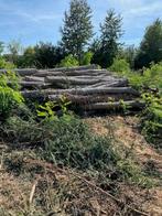 paalhout robinia, Palen, Nieuw, Ophalen of Verzenden, Hardhout