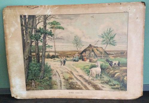 Oude schoolplaat “de heide in mei”, Jetses, dubbelzijdig, Antiek en Kunst, Antiek | Schoolplaten, Natuur en Biologie, Ophalen of Verzenden