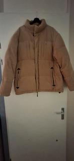 Winterjas corduroy Tommy Hilfiger XL, Kleding | Heren, Jassen | Winter, Ophalen of Verzenden, Zo goed als nieuw