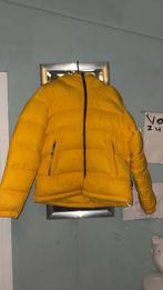 Napapijri HORNELEN - Winterjas - Yellow Ray (maat L), Verzenden, Zo goed als nieuw, Napapijri