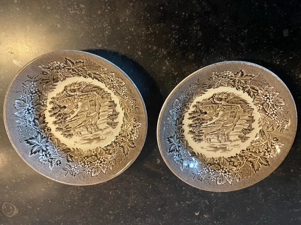 Twee vintage borden van Castles ironstone, Ophalen of Verzenden