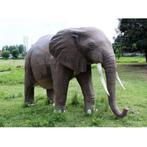 African Elephant – Afrikaanse Olifant beeld Lengte 374 cm, Verzamelen, Dierenverzamelingen, Nieuw, Ophalen