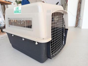 reiskennel beschikbaar voor biedingen