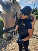 Verzorgpony gezocht omgeving Amersfoort, Dieren en Toebehoren, Ophalen