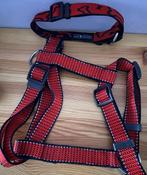 Halsband & tuig/harnas - nylon - M - 40 tm 52cm - samen €3.0, Dieren en Toebehoren, Hondenhalsbanden en Penningen, Ophalen of Verzenden